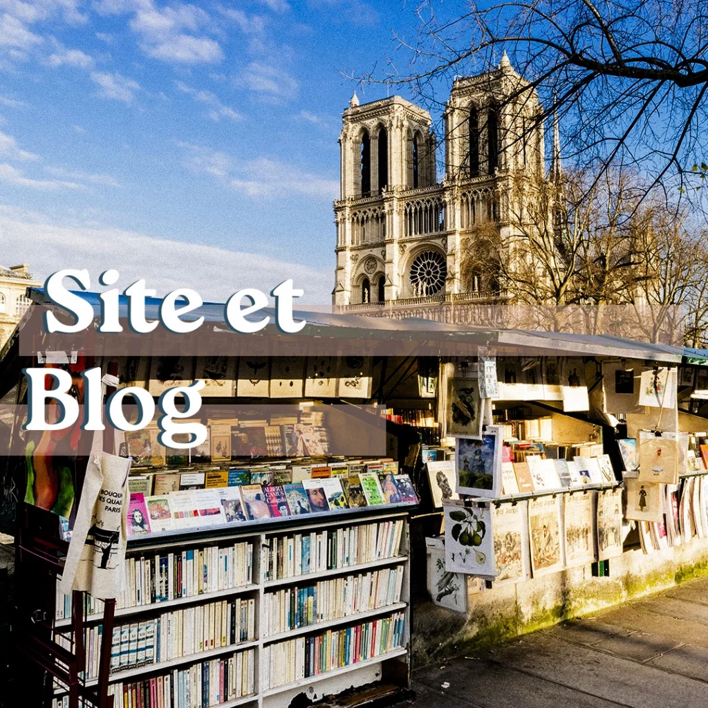 Site et blog : création de site web et rédaction d’articles optimisés pour le référencement (SEO)